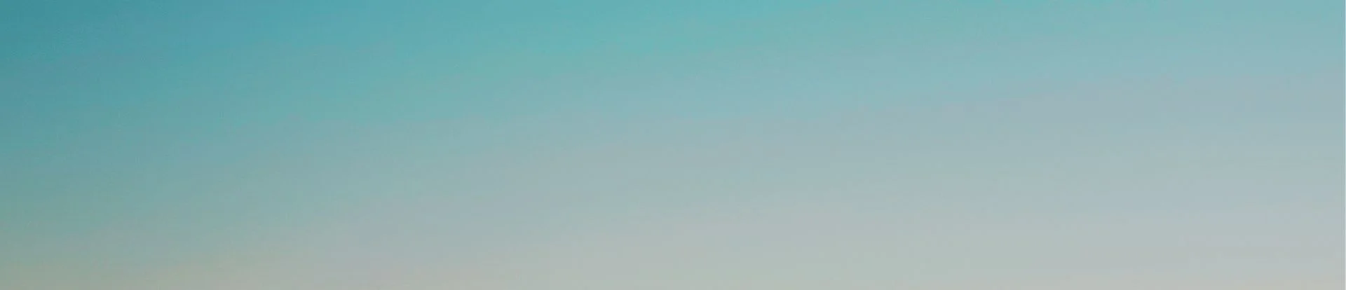 Blog Detail Page